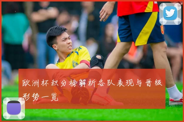 欧洲杯积分榜解析各队表现与晋级形势一览